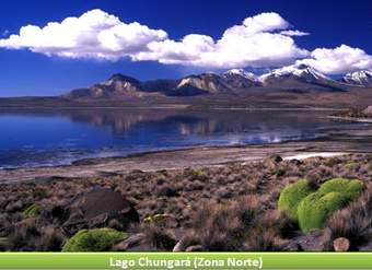 Lago Chungará, Zona Norte Lago Chungará, Zona Norte