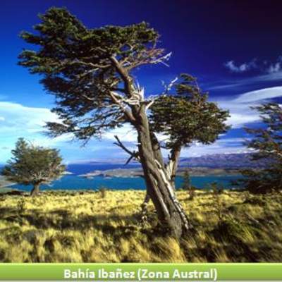 Bahía Ibáñez, Zona Austral Bahía Ibáñez, Zona Austral