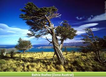 Bahía Ibáñez, Zona Austral Bahía Ibáñez, Zona Austral