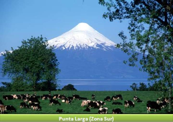 Punta Larga, Zona Sur Punta Larga, Zona Sur