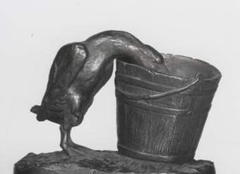 Isidore Bonheure Ganso comiendo de un balde  Isidore Bonheure Ganso comiendo de un balde