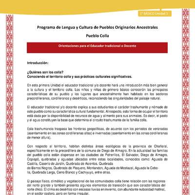 Orientaciones al docente - LC01 - Colla - U1 - Introducción Orientaciones al docente - LC01 - Colla - U1 - Introducción