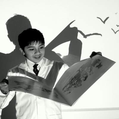 Gaviotas lectoras Gaviotas lectoras