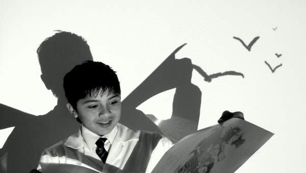 Gaviotas lectoras Gaviotas lectoras