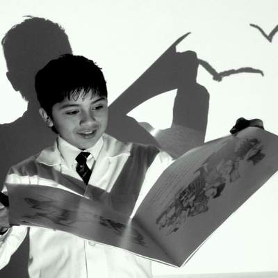 Gaviotas lectoras Gaviotas lectoras