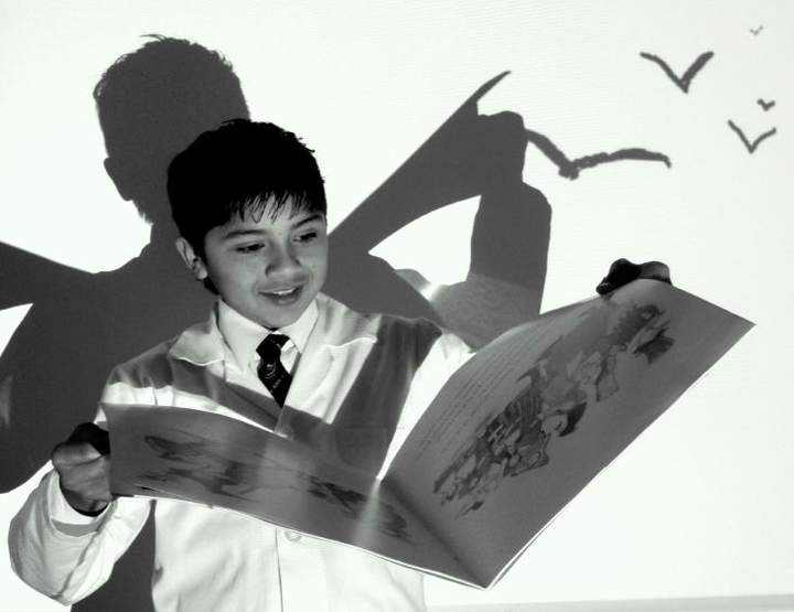 Gaviotas lectoras Gaviotas lectoras