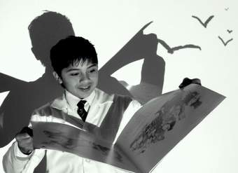 Gaviotas lectoras Gaviotas lectoras