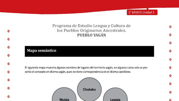 Mapa semántico Mapa semántico