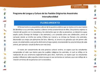 Floreamiento Floreamiento