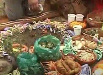 Video de actividad sugerida - LC02 - Aymara – U3 - N°09: Comprenden que las ofrendas a la Pachamama forman parte del acto de reciprocidad, que existe en la práctica sociocultural y de espiritualidad del pueblo aymara.  Video de actividad sugerida - LC02 - Aymara – U3 - N°09: Comprenden que las ofrendas a la Pachamama forman parte del acto de reciprocidad, que existe en la práctica sociocultural y de espiritualidad del pueblo aymara.