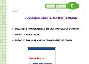 Juguemos con el cuerpo humano Juguemos con el cuerpo humano