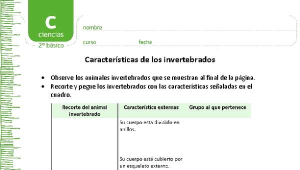 Características de los invertebrados Características de los invertebrados