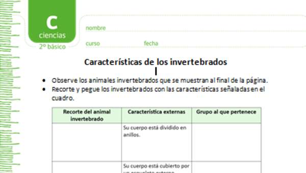 Características de los invertebrados Características de los invertebrados