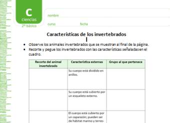 Características de los invertebrados Características de los invertebrados