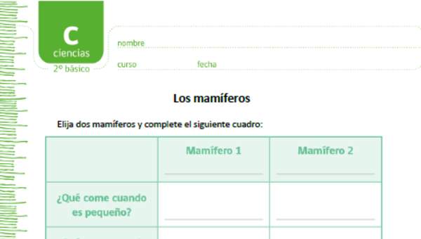 Los mamíferos Los mamíferos