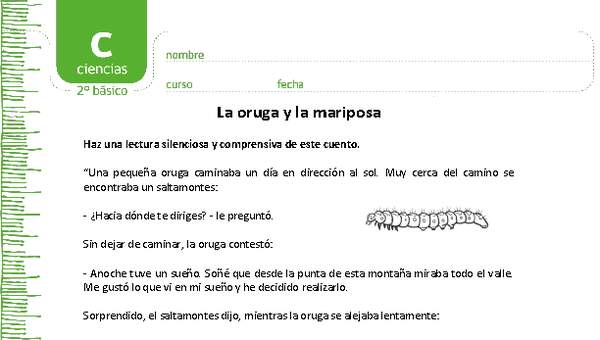 La oruga y la mariposa La oruga y la mariposa
