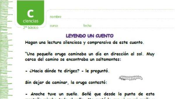 La oruga y la mariposa La oruga y la mariposa