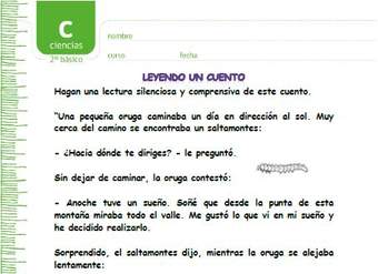 La oruga y la mariposa La oruga y la mariposa