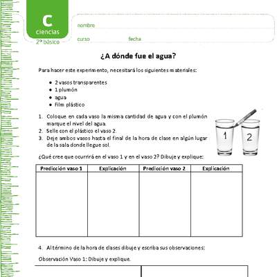 ¿A dónde se fue el agua? ¿A dónde se fue el agua?