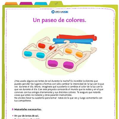 Paseo de colores Paseo de colores