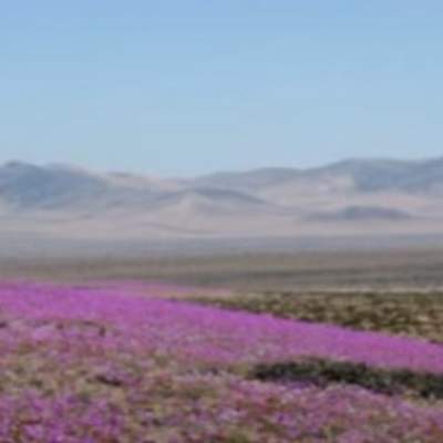 Video de recurso sugerido: LC02 - Colla - U1 - N°3: Rescatan y crean relatos del pueblo colla. Video de recurso sugerido: LC02 - Colla - U1 - N°3: Rescatan y crean relatos del pueblo colla.