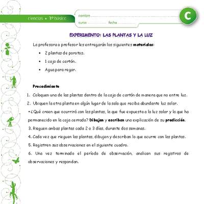 Experimento: Las plantas y la luz Experimento: Las plantas y la luz