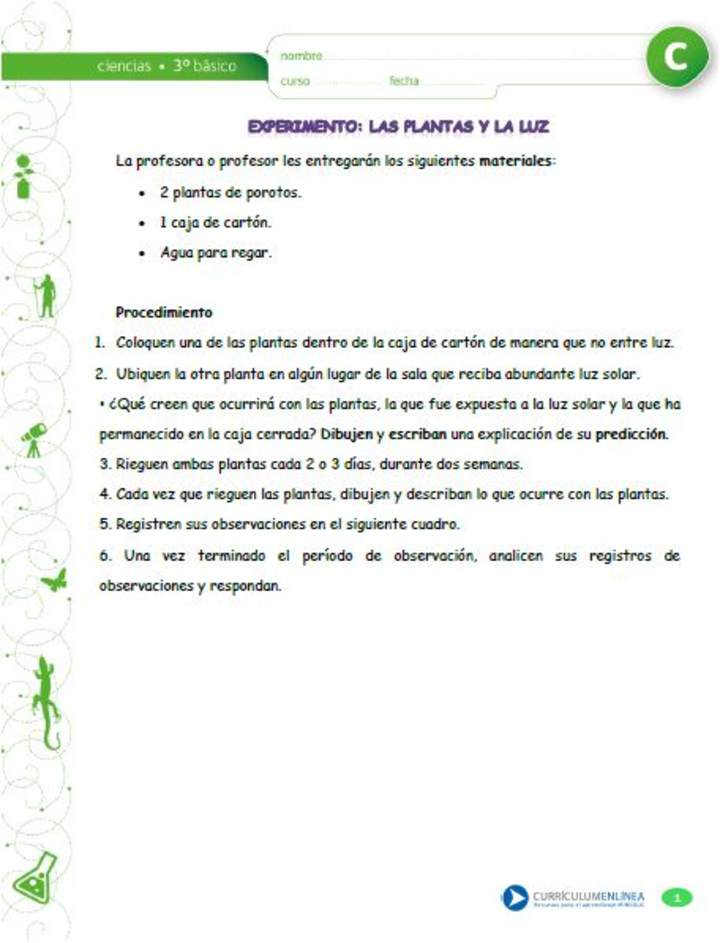 Experimento: Las plantas y la luz Experimento: Las plantas y la luz