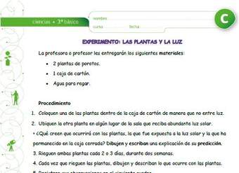 Experimento: Las plantas y la luz Experimento: Las plantas y la luz