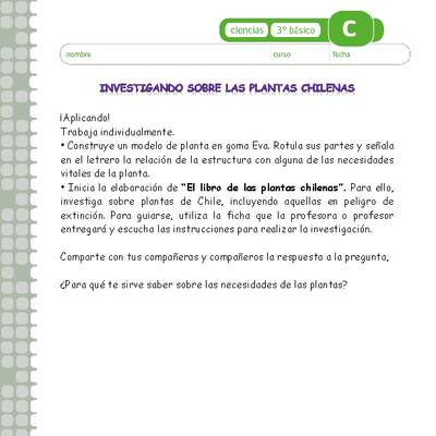 Investigando sobre las plantas chilenas Investigando sobre las plantas chilenas