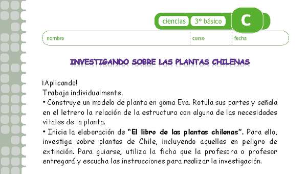 Investigando sobre las plantas chilenas Investigando sobre las plantas chilenas