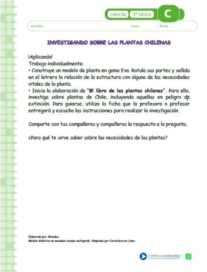 Investigando sobre las plantas chilenas Investigando sobre las plantas chilenas