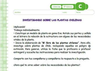 Investigando sobre las plantas chilenas Investigando sobre las plantas chilenas