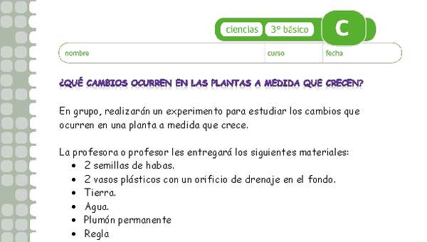 ¿Qué cambios se producen en las plantas a medida que crecen? ¿Qué cambios se producen en las plantas a medida que crecen?