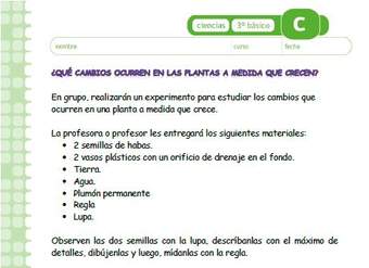 ¿Qué cambios se producen en las plantas a medida que crecen? ¿Qué cambios se producen en las plantas a medida que crecen?