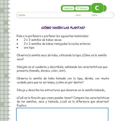 ¿Cómo nacen las plantas? ¿Cómo nacen las plantas?