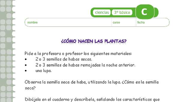 ¿Cómo nacen las plantas? ¿Cómo nacen las plantas?