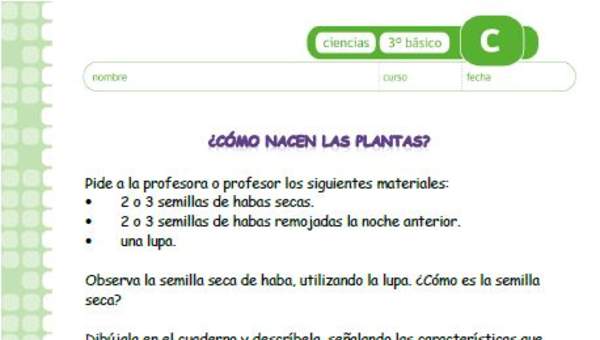 ¿Cómo nacen las plantas? ¿Cómo nacen las plantas?
