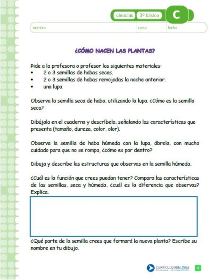 ¿Cómo nacen las plantas? ¿Cómo nacen las plantas?