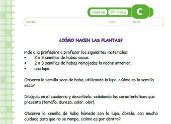 ¿Cómo nacen las plantas? ¿Cómo nacen las plantas?