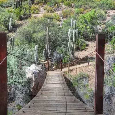 Video de Actividad sugerida: LC02 - Diaguita - U4 - N°1: REALIZAN UNA CAMINATA PARA OBSERVAR EL ENTORNO NATURAL Y DESCUBREN LOS MENSAJES QUE ENTREGA LA NATURALEZA. Video de Actividad sugerida: LC02 - Diaguita - U4 - N°1: REALIZAN UNA CAMINATA PARA OBSERVAR EL ENTORNO NATURAL Y DESCUBREN LOS MENSAJES QUE ENTREGA LA NATURALEZA.
