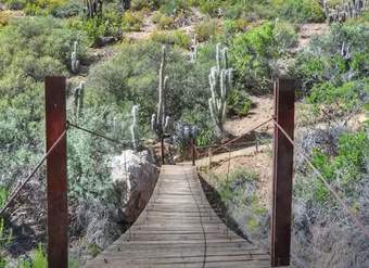 Video de Actividad sugerida: LC02 - Diaguita - U4 - N°1: REALIZAN UNA CAMINATA PARA OBSERVAR EL ENTORNO NATURAL Y DESCUBREN LOS MENSAJES QUE ENTREGA LA NATURALEZA. Video de Actividad sugerida: LC02 - Diaguita - U4 - N°1: REALIZAN UNA CAMINATA PARA OBSERVAR EL ENTORNO NATURAL Y DESCUBREN LOS MENSAJES QUE ENTREGA LA NATURALEZA.