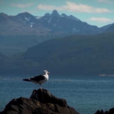 Video sugerido - LC01 - Interculturalidad- U4 - Nº 2: ESCUCHAN SONIDOS DE LA LENGUA YAGÁN, ASOCIÁNDOLOS A SU GRAFÍA Y SIGNIFICADO Video sugerido - LC01 - Interculturalidad- U4 - Nº 2: ESCUCHAN SONIDOS DE LA LENGUA YAGÁN, ASOCIÁNDOLOS A SU GRAFÍA Y SIGNIFICADO