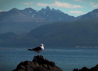 Video sugerido - LC01 - Interculturalidad- U4 - Nº 2: ESCUCHAN SONIDOS DE LA LENGUA YAGÁN, ASOCIÁNDOLOS A SU GRAFÍA Y SIGNIFICADO Video sugerido - LC01 - Interculturalidad- U4 - Nº 2: ESCUCHAN SONIDOS DE LA LENGUA YAGÁN, ASOCIÁNDOLOS A SU GRAFÍA Y SIGNIFICADO