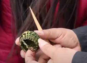 Video sugerido - LC01 - Interculturalidad- U4 - Nº 11: REPRESENTAN GRÁFICAMENTE EL TRABAJO EN FIBRA VEGETAL REALIZADO POR EL PUEBLO KAWÉSQAR Video sugerido - LC01 - Interculturalidad- U4 - Nº 11: REPRESENTAN GRÁFICAMENTE EL TRABAJO EN FIBRA VEGETAL REALIZADO POR EL PUEBLO KAWÉSQAR