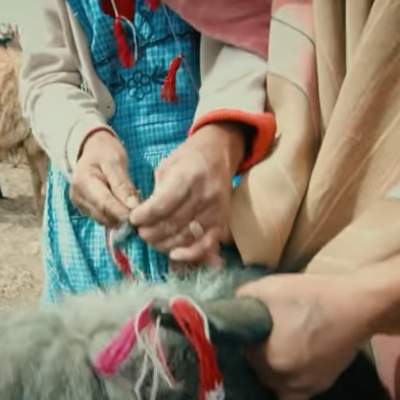 Video de Actividad sugerida -LC02 - Quechua - U1 - N°13: Participan en la práctica cultural de “T’ikachay”.  Video de Actividad sugerida -LC02 - Quechua - U1 - N°13: Participan en la práctica cultural de “T’ikachay”.