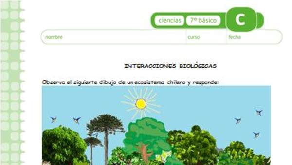 Intereacciones biológicas Intereacciones biológicas