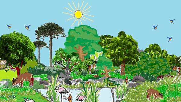 Dibujo de ecosistema chileno para analizar interacciones Dibujo de ecosistema chileno para analizar interacciones