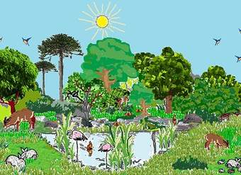 Dibujo de ecosistema chileno para analizar interacciones Dibujo de ecosistema chileno para analizar interacciones