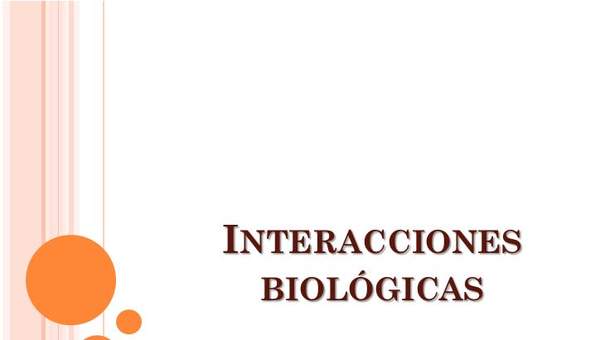 Interacciones biológicas Interacciones biológicas