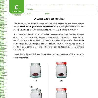 Experimento de Redi Experimento de Redi